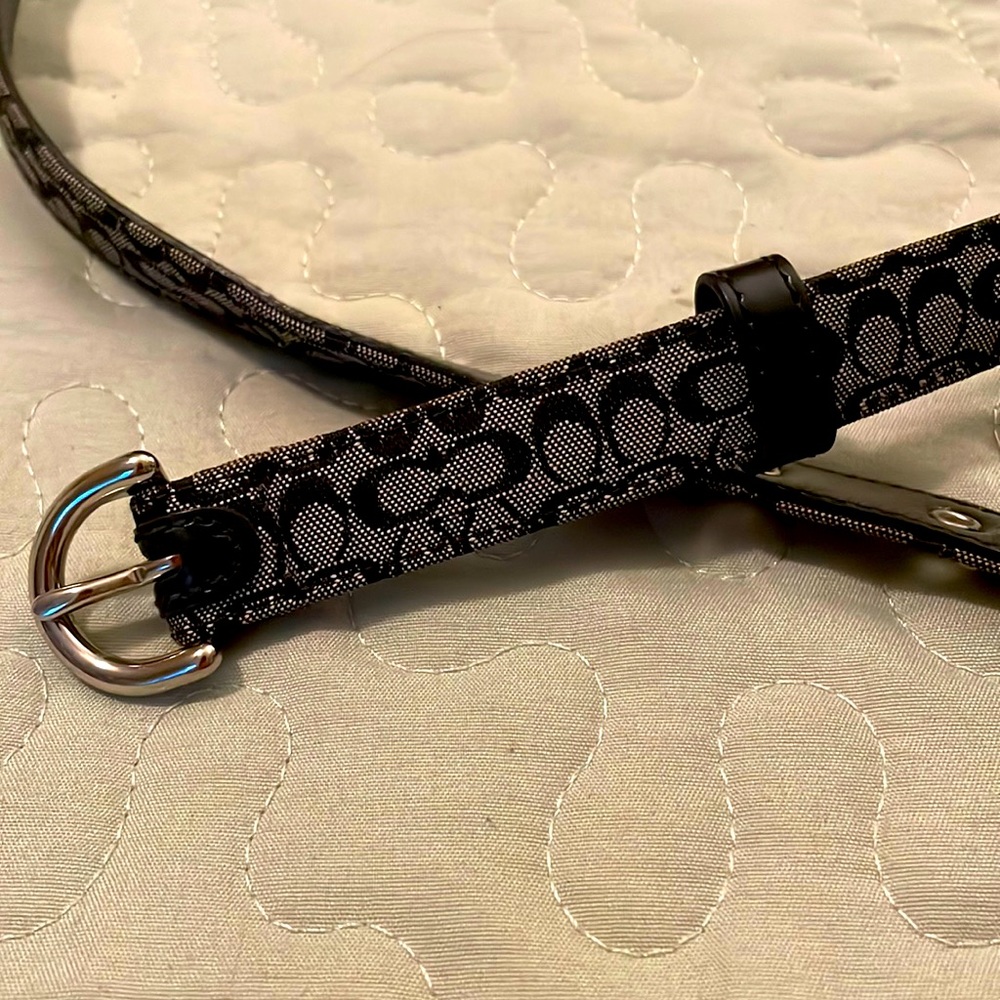 Coach belt